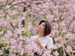 -天适樱花悠乐园