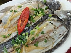 -先鲜鲫鱼粥