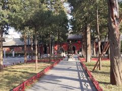 -万柳阁小馆·花园餐厅(龙潭湖店)