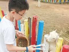 -西部长青自然儿童乐园