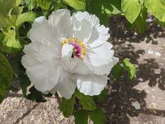 -太阳宫公园