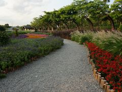 -映月湖公园