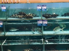 水产区-强记海鲜·大排档(蛇口新街店)