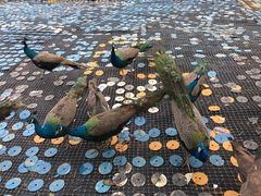 -瓷天下海丝谷