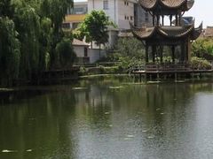-瀛洲公园