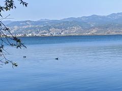 -西昌邛海湿地
