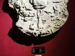 -安塔利亚博物馆