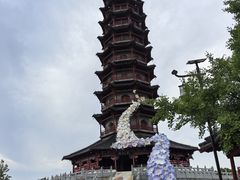 -江苏三台山国家森林公园