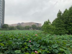 -3W咖啡(国家软件园店)