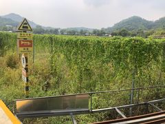 -红山村