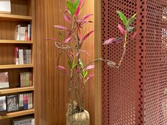 -二酉书店TOYOU BOOKS