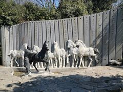 -白马涧龙池景区