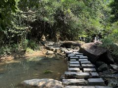 -广州白江湖森林公园