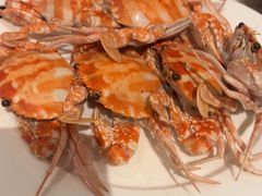 -安蒂娅·海鲜自助餐厅(安蒂娅美兰酒店)