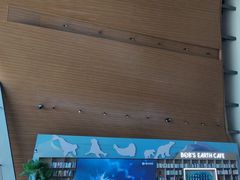 -抱抱地球咖啡馆(国家海洋博物馆店)