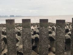 -奉贤海滩