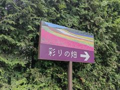 -富田农场