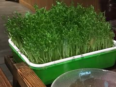 -番食园鲜食火锅(高新店)