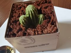 盆栽-咖法森林·咖啡  酒吧(天河店)