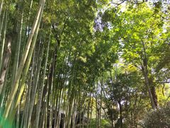 -秋霞圃