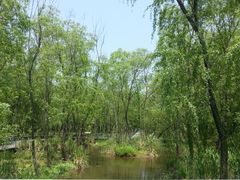 android_upload_pic-西湖风景区-江洋畈生态公园