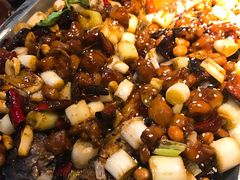 -锦尚阁烤鱼(望京新荟城店)