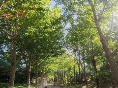 -春晖园度假酒店温泉