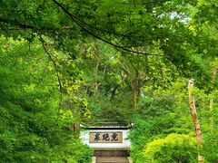 -虎跑公园