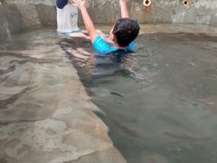 -南宫温泉水世界