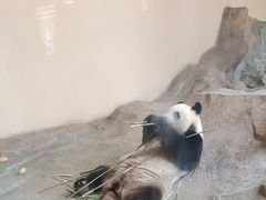 -宁波野生动物园