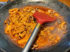 -红辣椒八爪鱼特色韩国料理