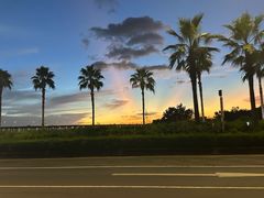 -宝安西湾红树林湿地公园