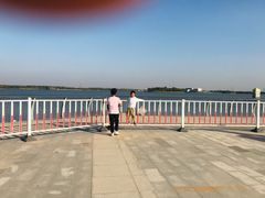 -武清南湖绿博园