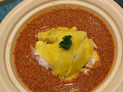 红油白切鸡-72号海鲜私房菜