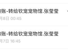 -钦宠·猫咪售卖·洗护·寄养(东圃旗舰店)