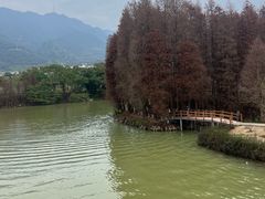 -星湖旅游景区七星岩