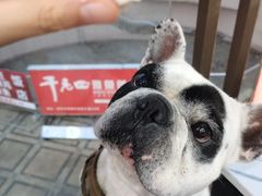 -洪平血旺椒麻鸡雅鱼饭店(熊猫大道店)