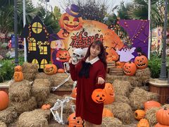 -歌斐颂巧克力小镇