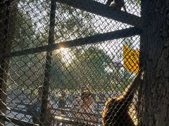 -长白岛森林公园