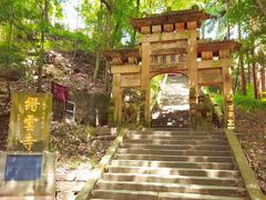 -缙云山景区