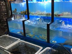 水产区-老东镇啤酒屋海鲜加工·蒸汽海鲜·海鲜烧烤(台东店)