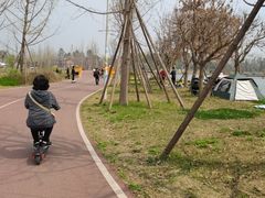 -三圣花乡旅游区