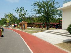 -上海长兴岛郊野公园