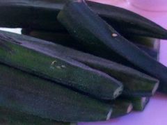 -御花园大酒店(海东路店)