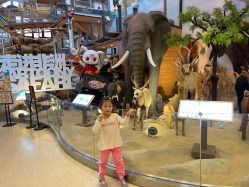 -卡通尼·Safari非洲探索乐园·生日会(金桥国际商业广场店)