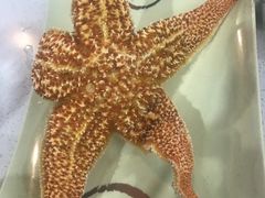 -大锅强·蒸海鲜青岛菜(吾悦广场店)