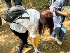 -紫金山山顶公园