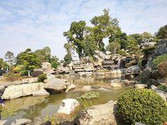 -东莞植物园