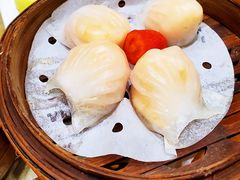 金牌虾饺皇-赏点粤式点心(广州塔店)