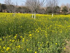 -古柏渡飞黄旅游区